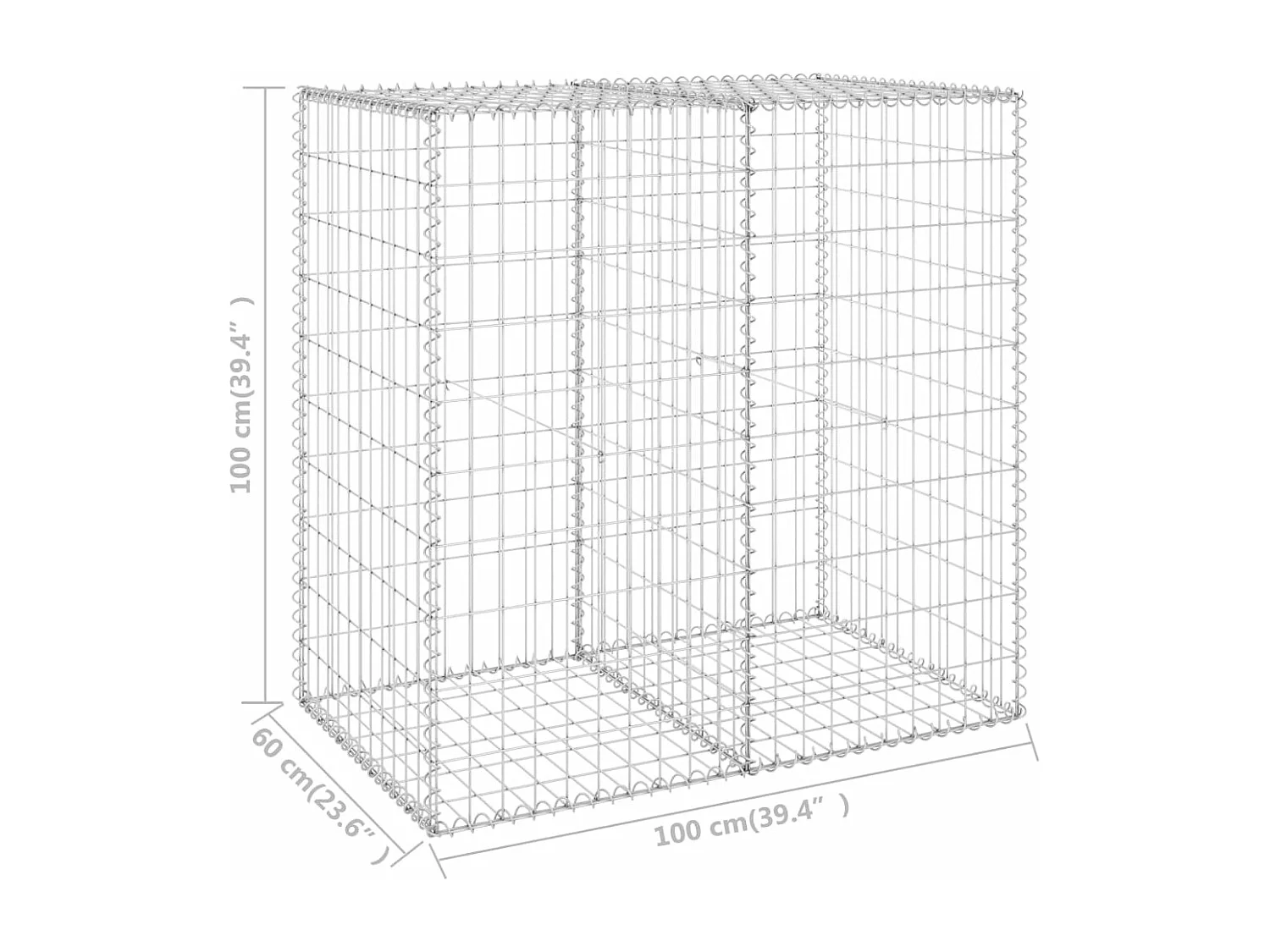 Mur en gabion avec couvercles Acier galvanisé 100x60x100