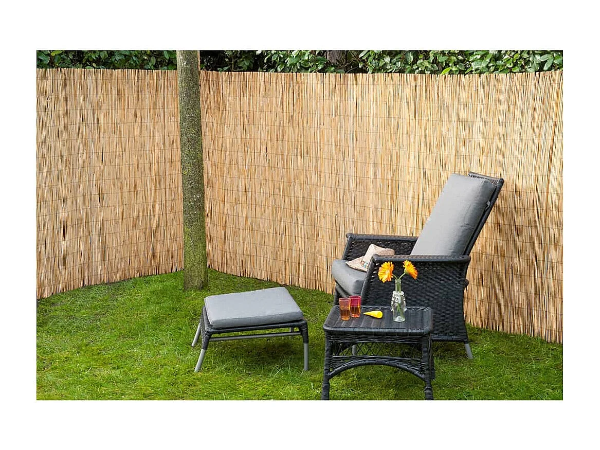 Nature 2 pcs Écrans de jardin Roseau de bambou 500x100