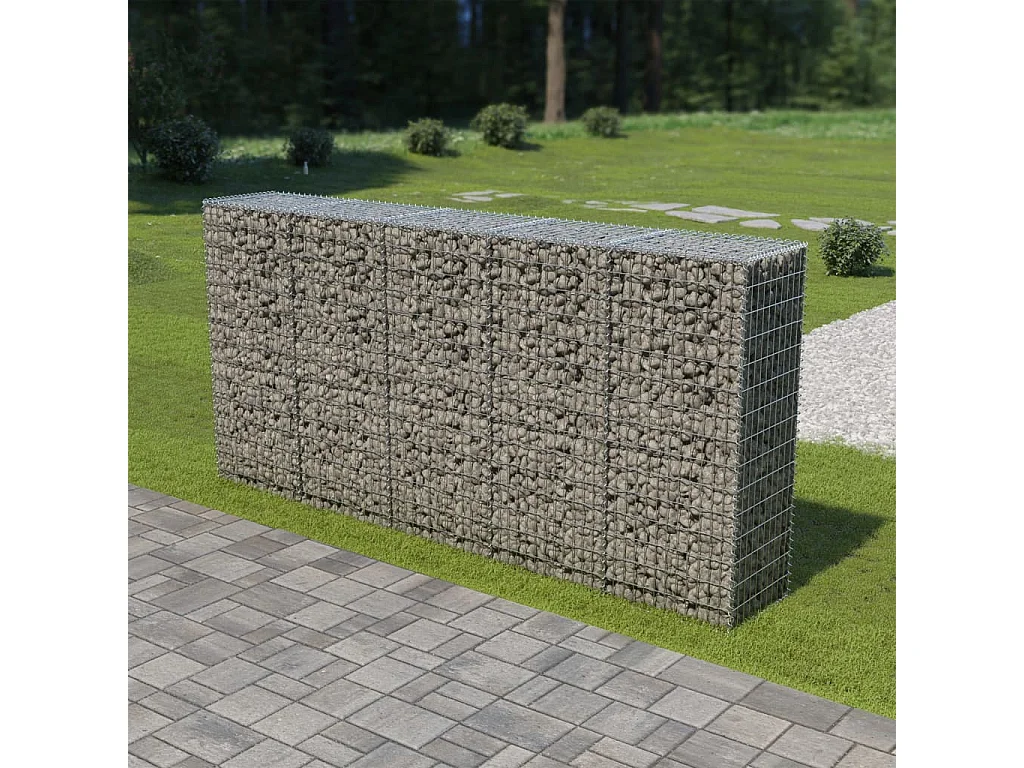 Mur en gabion avec couvercles Acier galvanisé 300 x 50x150