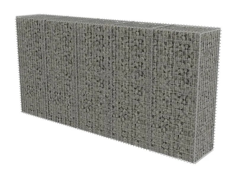 Mur en gabion avec couvercles Acier galvanisé 300 x 50x150