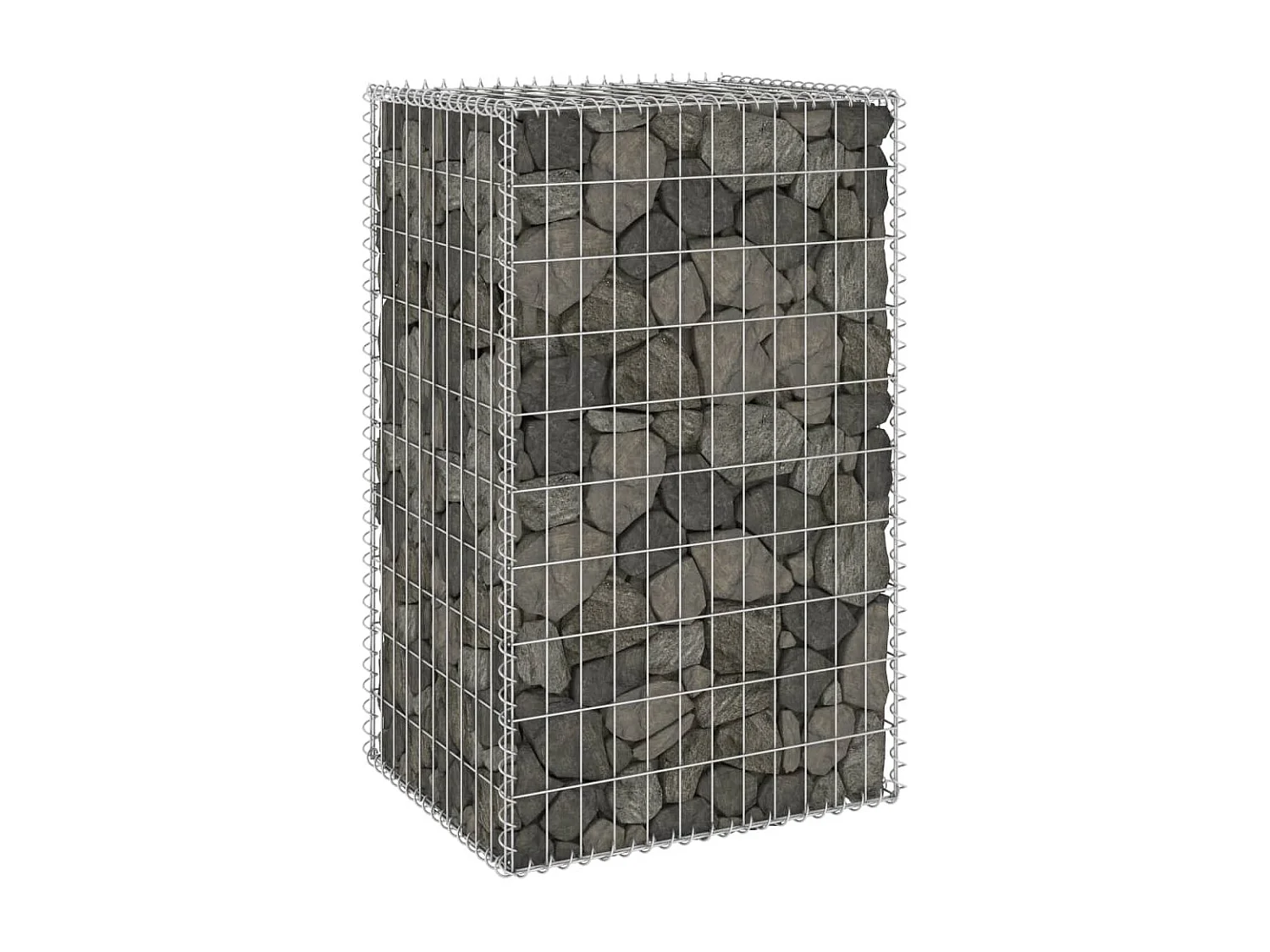 Mur en gabion avec couvercles Acier galvanisé 60x50x100