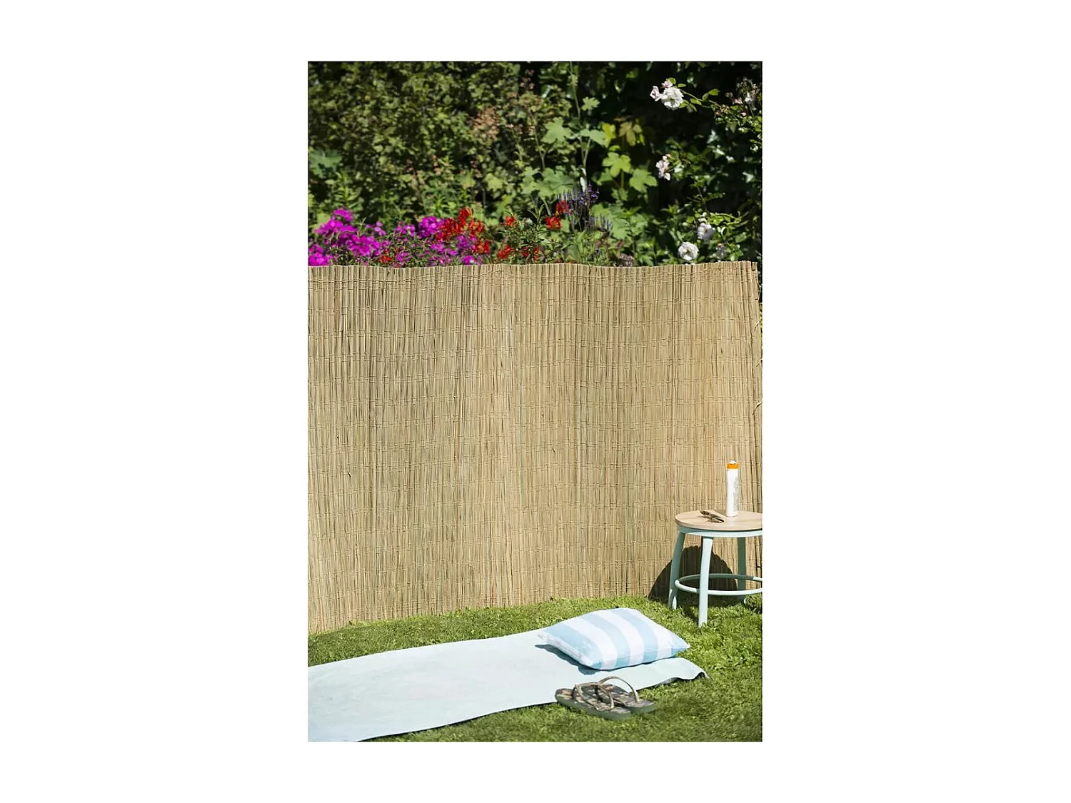 Tuinscherm 1,5x3 m zeggeriet