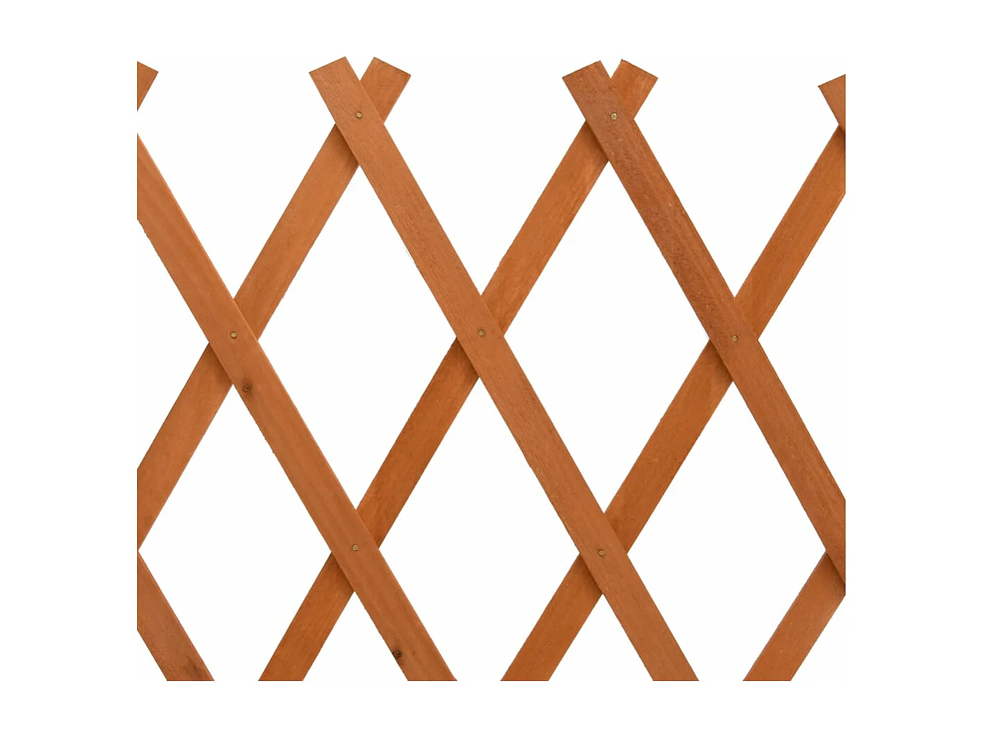 Clôture en treillis de jardin Orange 120x60 Bois de sapin