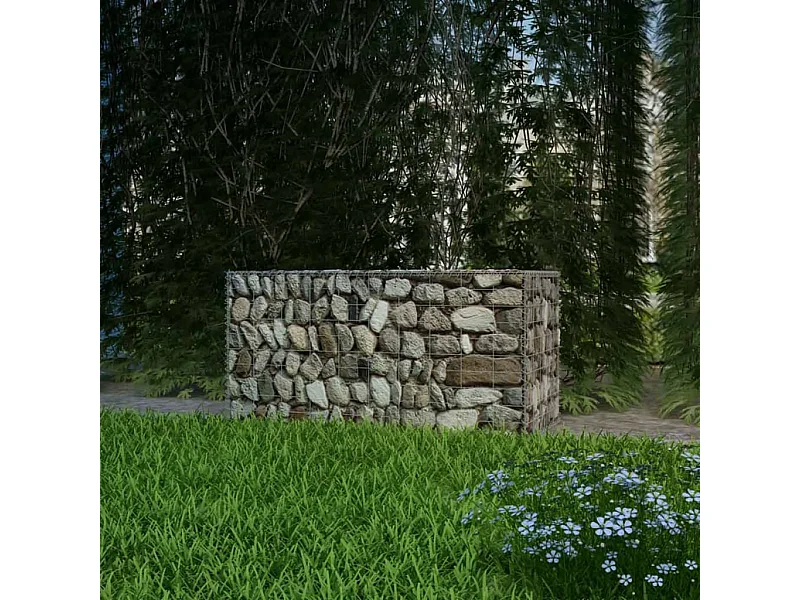 Panier de gabion Acier galvanisé 100x50x50