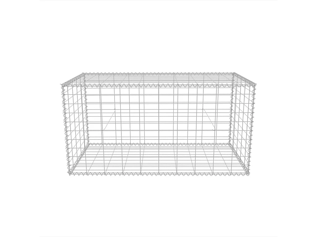 Panier de gabion Acier galvanisé 100x50x50