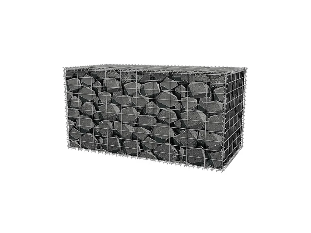 Panier de gabion Acier galvanisé 100x50x50