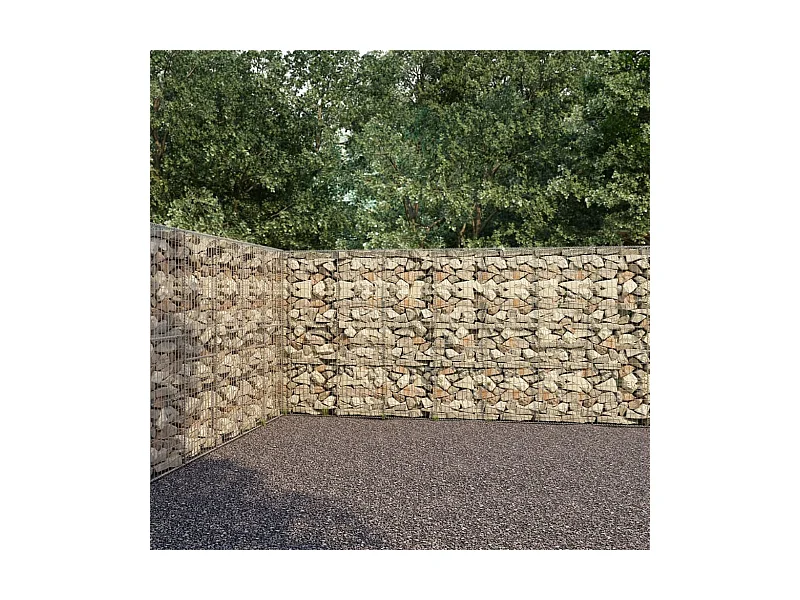 Mur à gabion avec couvercles Acier galvanisé 900 x 50x200 2