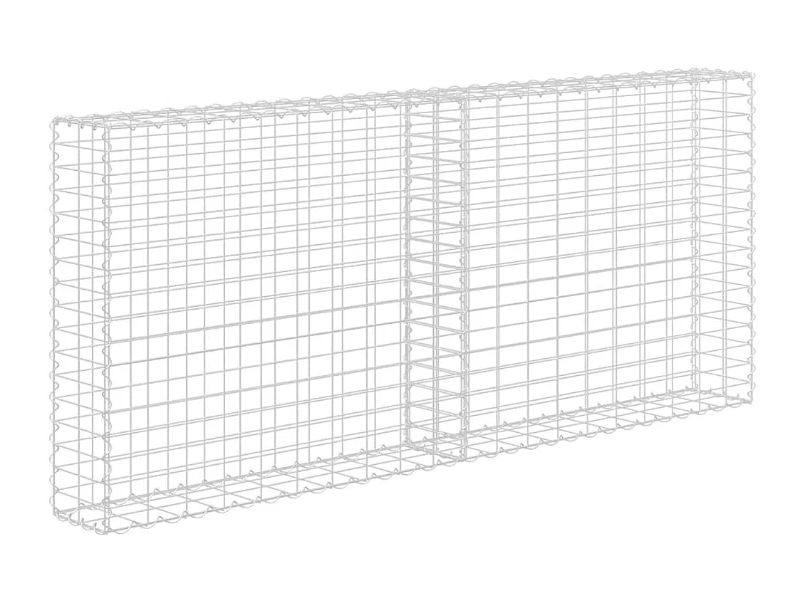 Mur à gabion avec couvercles Acier galvanisé 200 x 20x85