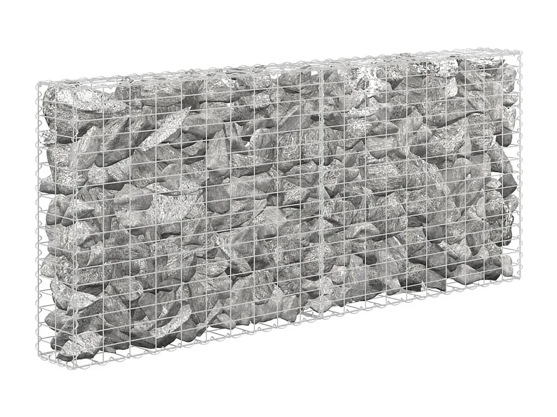 Mur à gabion avec couvercles Acier galvanisé 200 x 20x85