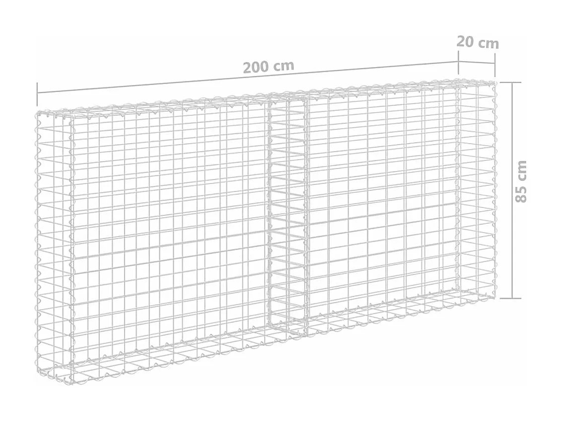 Mur à gabion avec couvercles Acier galvanisé 200 x 20x85