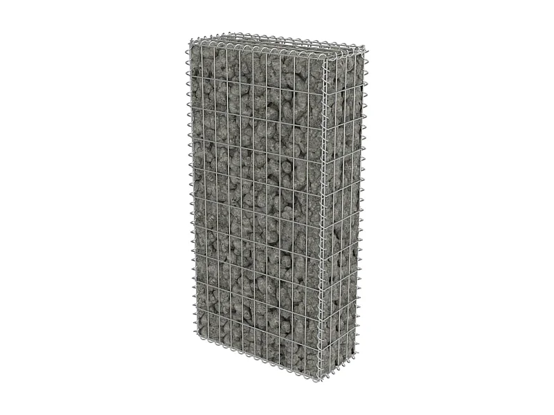 Mur en gabion avec couvercles Acier galvanisé 50 x 20x100