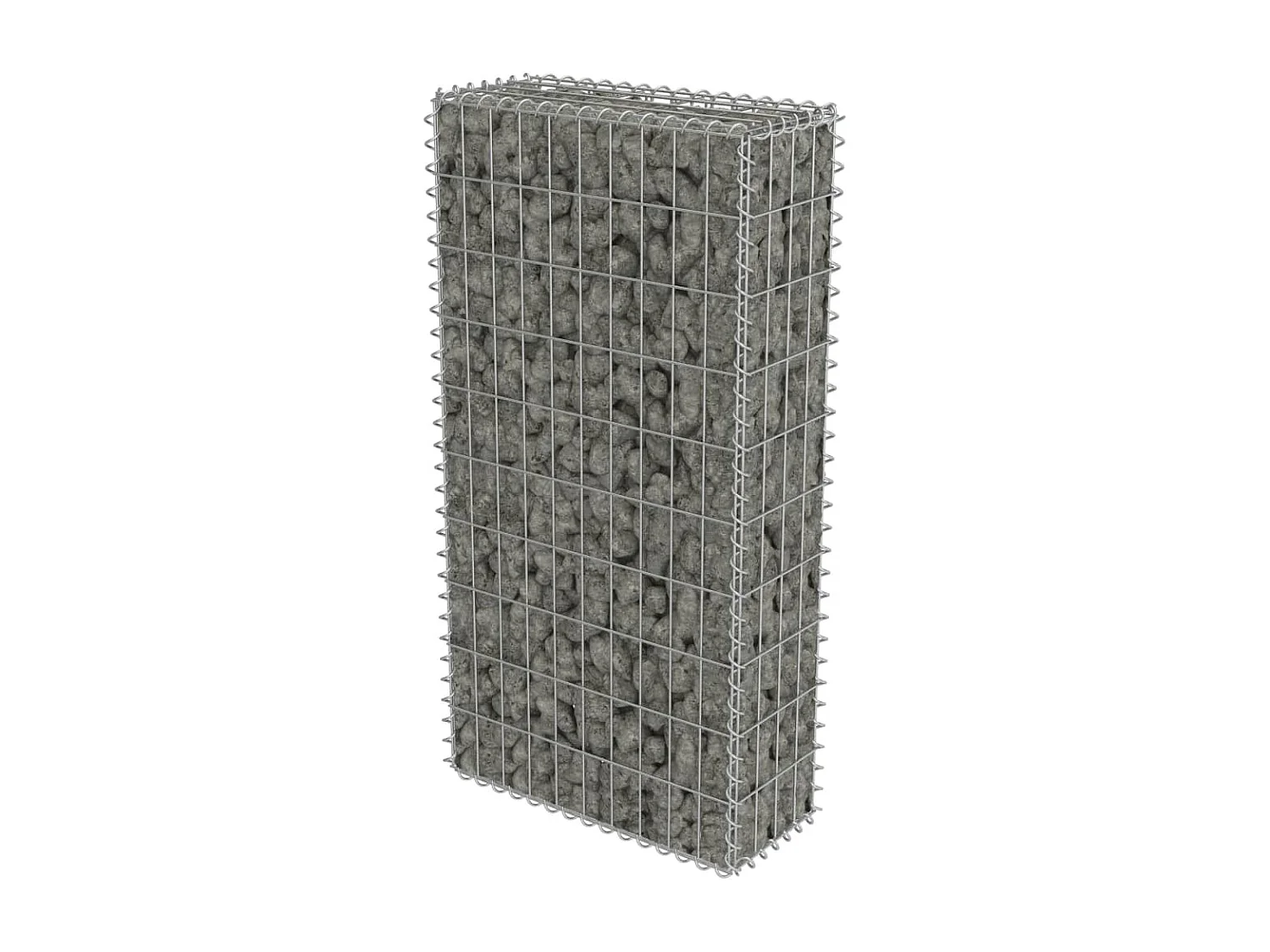 Mur en gabion avec couvercles Acier galvanisé 50 x 20x100