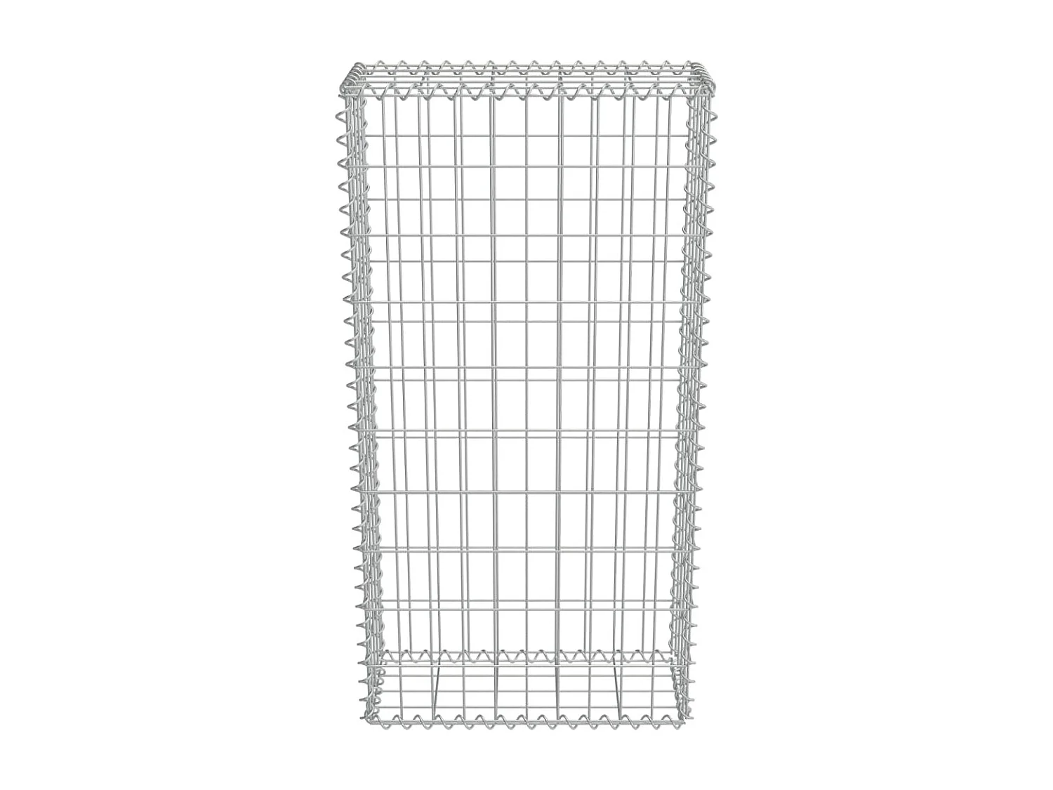 Mur en gabion avec couvercles Acier galvanisé 50 x 20x100