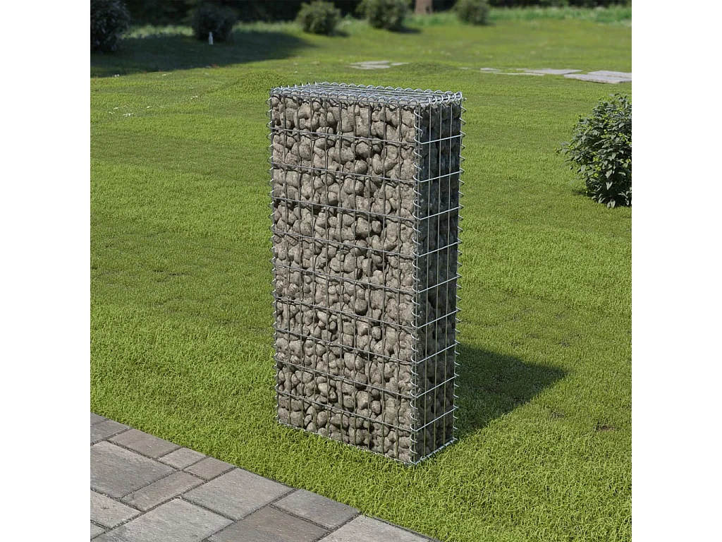 Mur en gabion avec couvercles Acier galvanisé 50 x 20x100