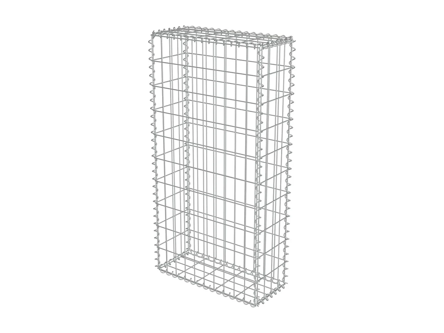 Mur en gabion avec couvercles Acier galvanisé 50 x 20x100
