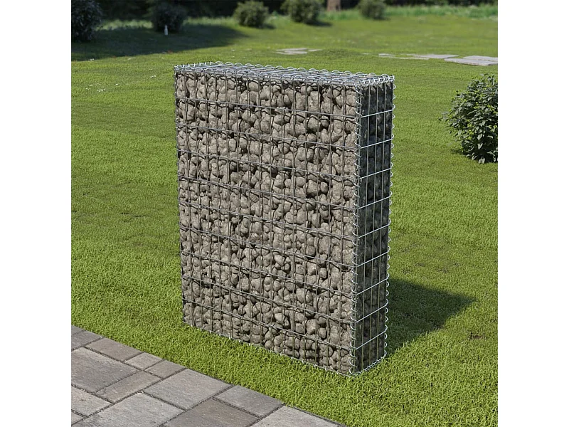 Mur à gabion avec couvercles Acier galvanisé 80x20x100
