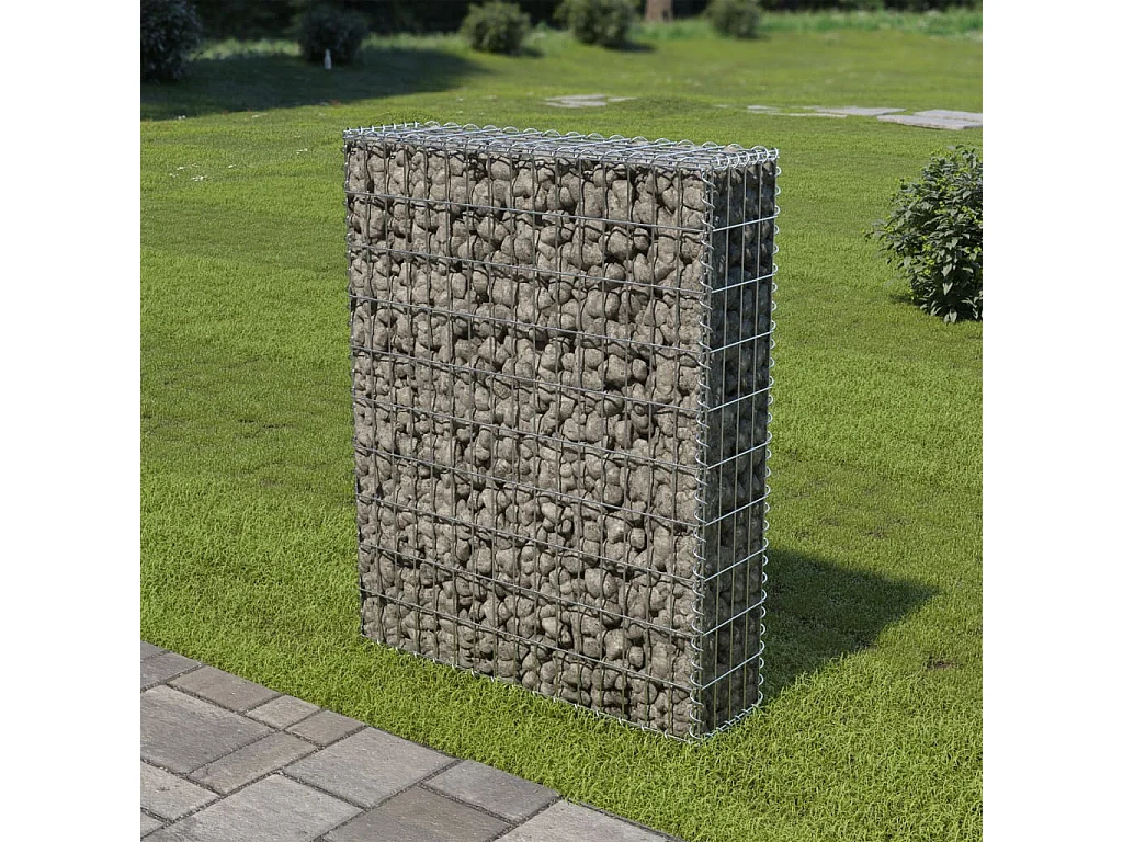 Mur à gabion avec couvercles Acier galvanisé 80x20x100