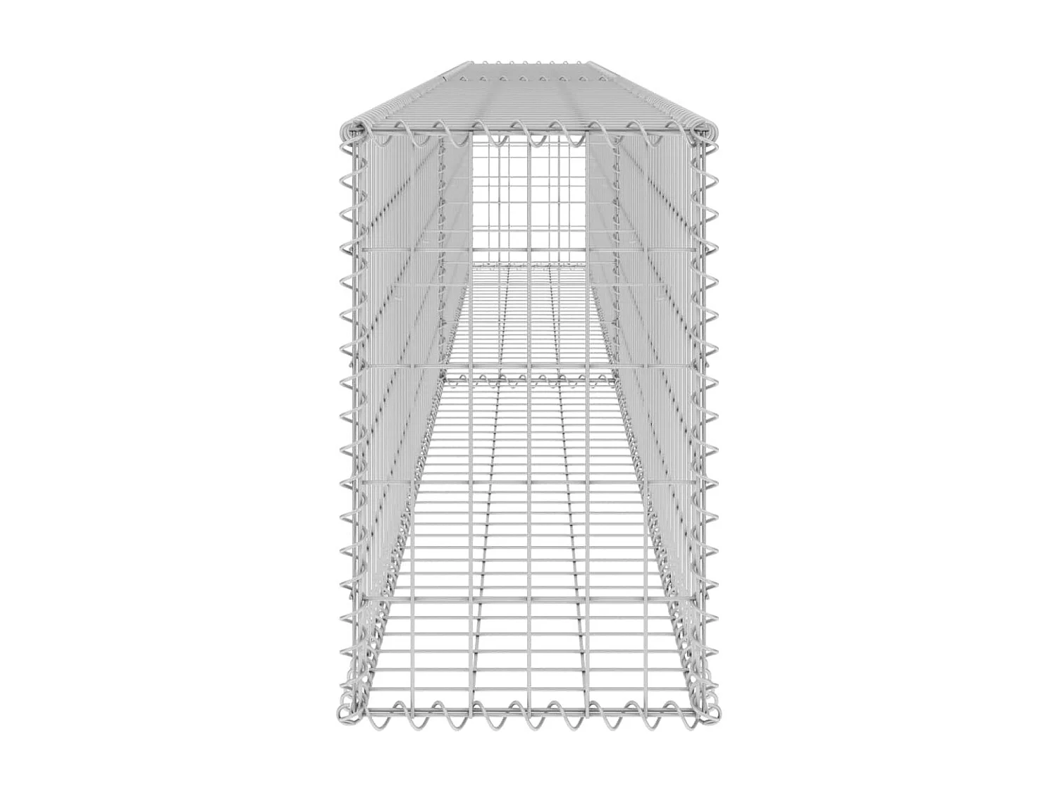 Mur en gabion avec couvercles Acier galvanisé 300x30x50