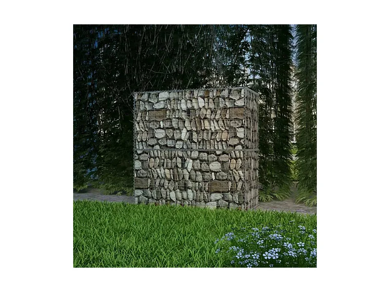 Panier de gabion Acier galvanisé 100x50x100