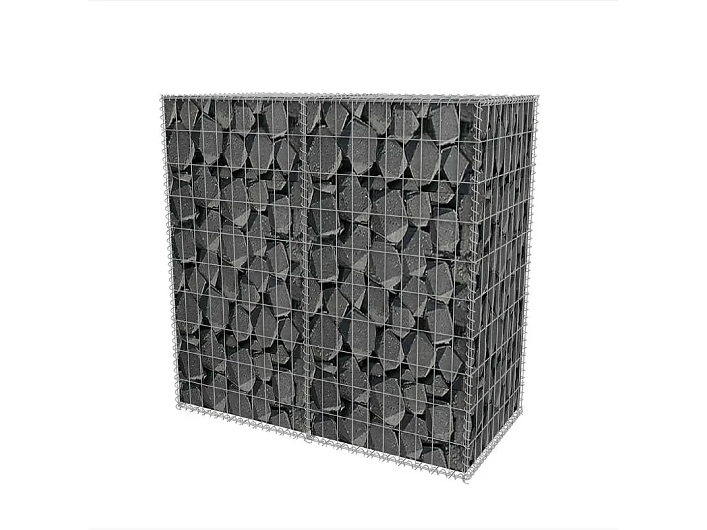 Panier de gabion Acier galvanisé 100x50x100