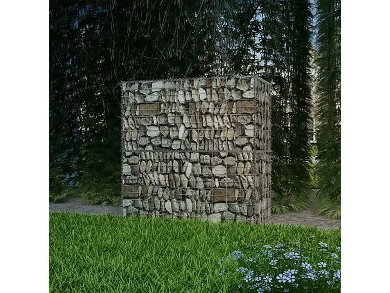 Panier de gabion Acier galvanisé 100x50x100