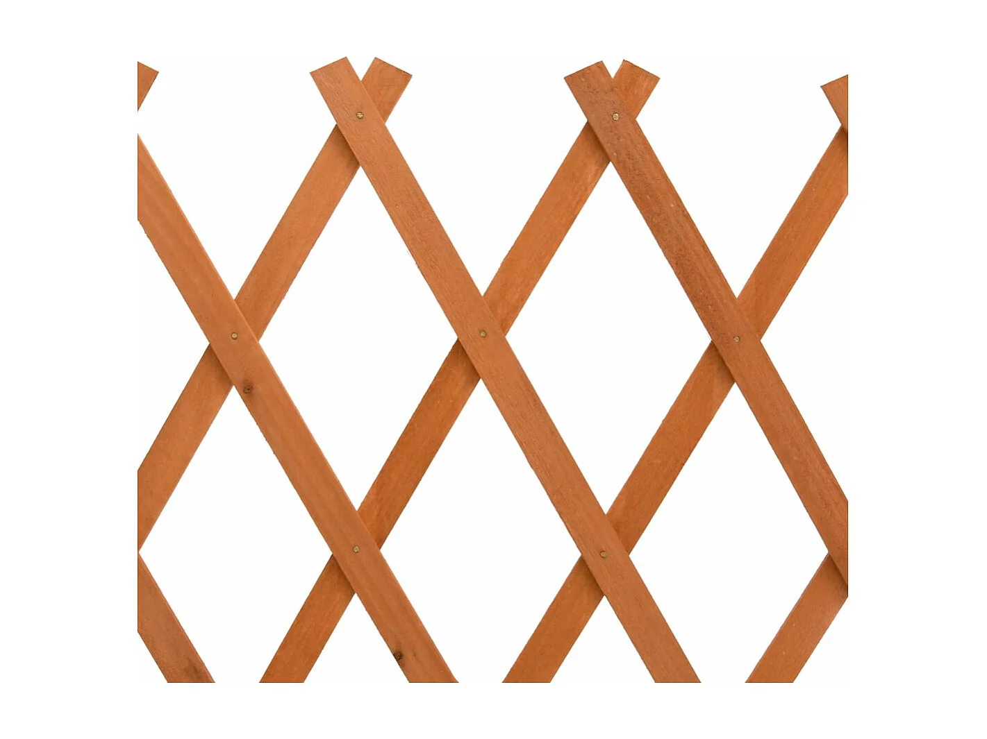 Clôture en treillis de jardin Orange 150x80 Bois de sapin