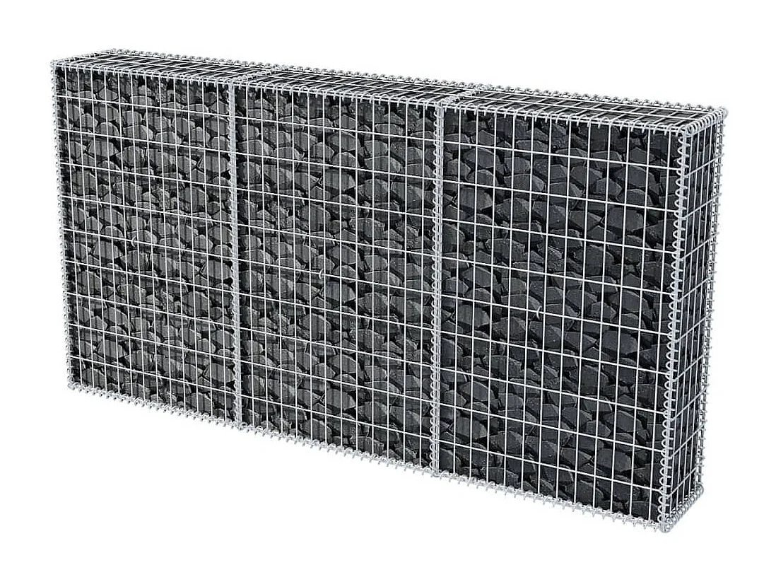 Panier de gabion Acier galvanisé 200x30x100