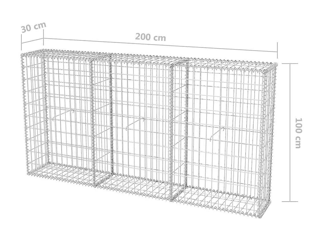 Panier de gabion Acier galvanisé 200x30x100