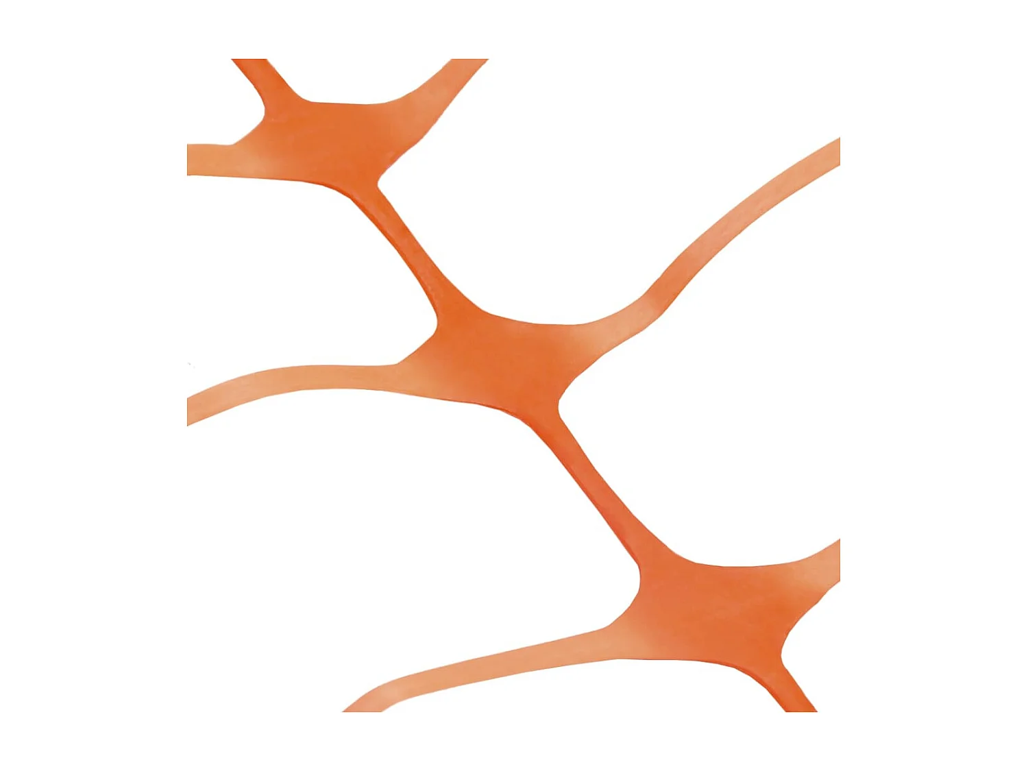 Clôture de jardin 30 m Orange