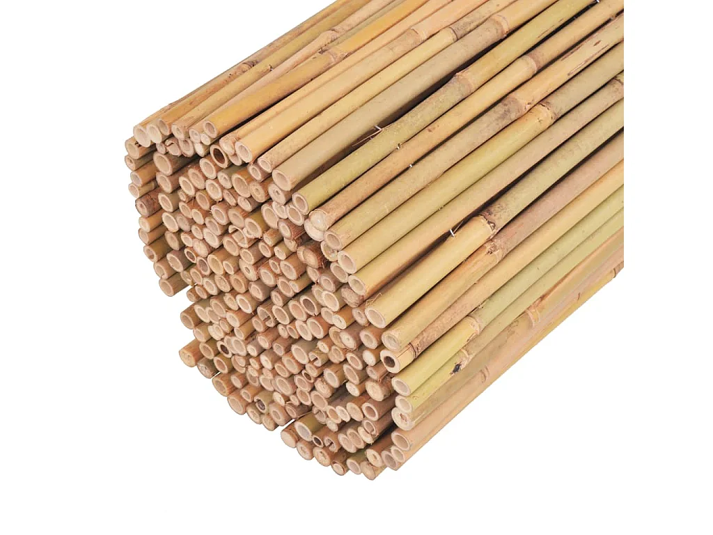 Clôture Bambou 300x100