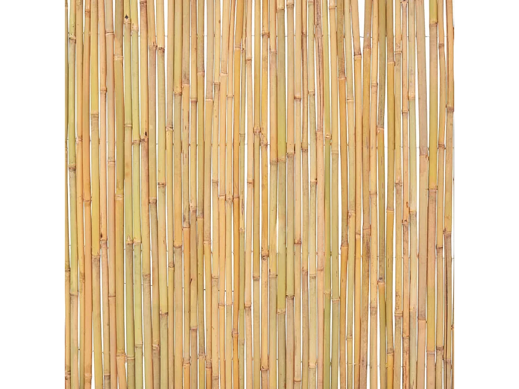 Clôture Bambou 300x100