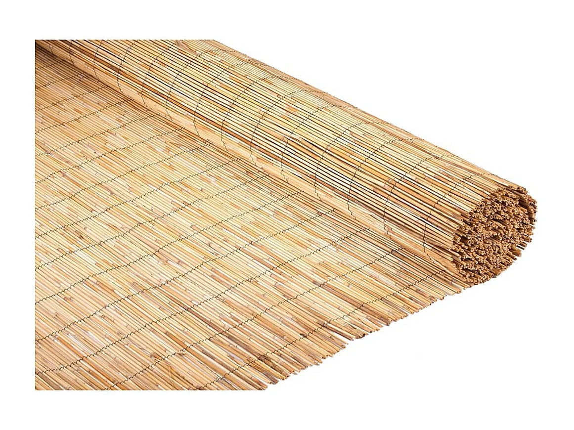 Nature Écran de jardin Roseau 1 x 3 m