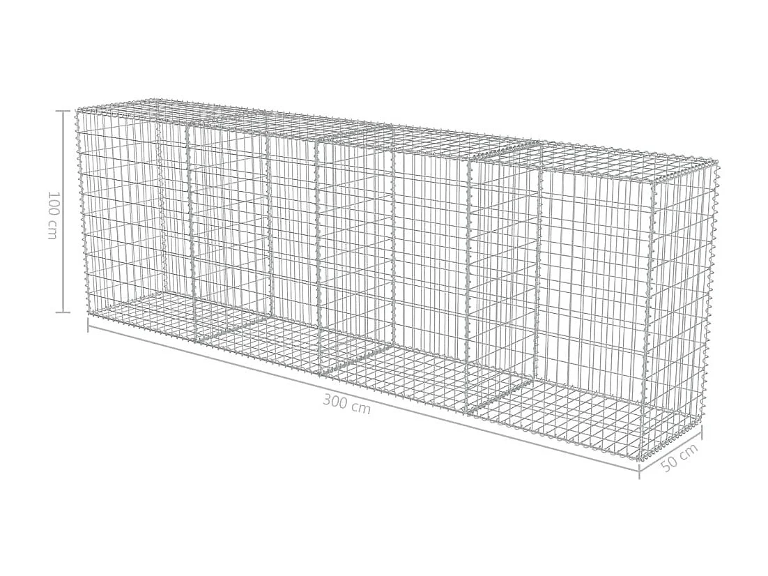 Mur en gabion avec couvercles Acier galvanisé 300 x 50x100
