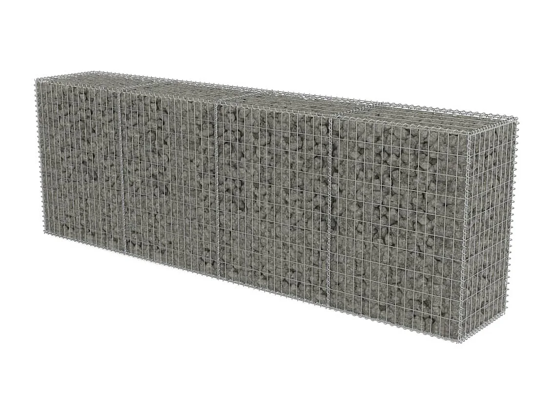 Mur en gabion avec couvercles Acier galvanisé 300 x 50x100