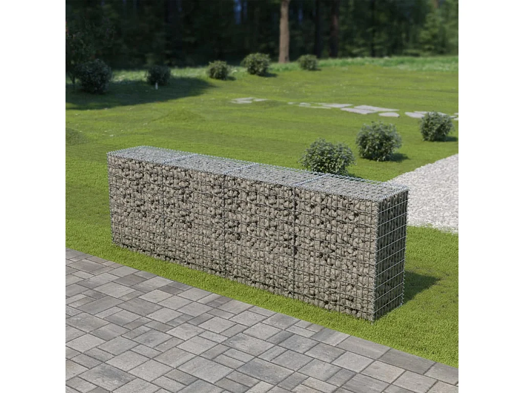 Mur en gabion avec couvercles Acier galvanisé 300 x 50x100