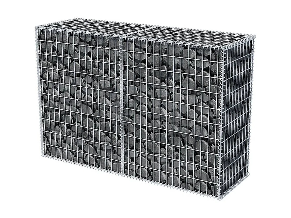 Panier de gabion Acier galvanisé 150x50x100