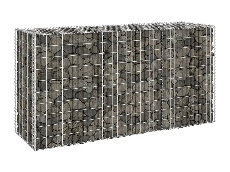 Mur en gabion avec couvercles Acier galvanisé 200x60x100