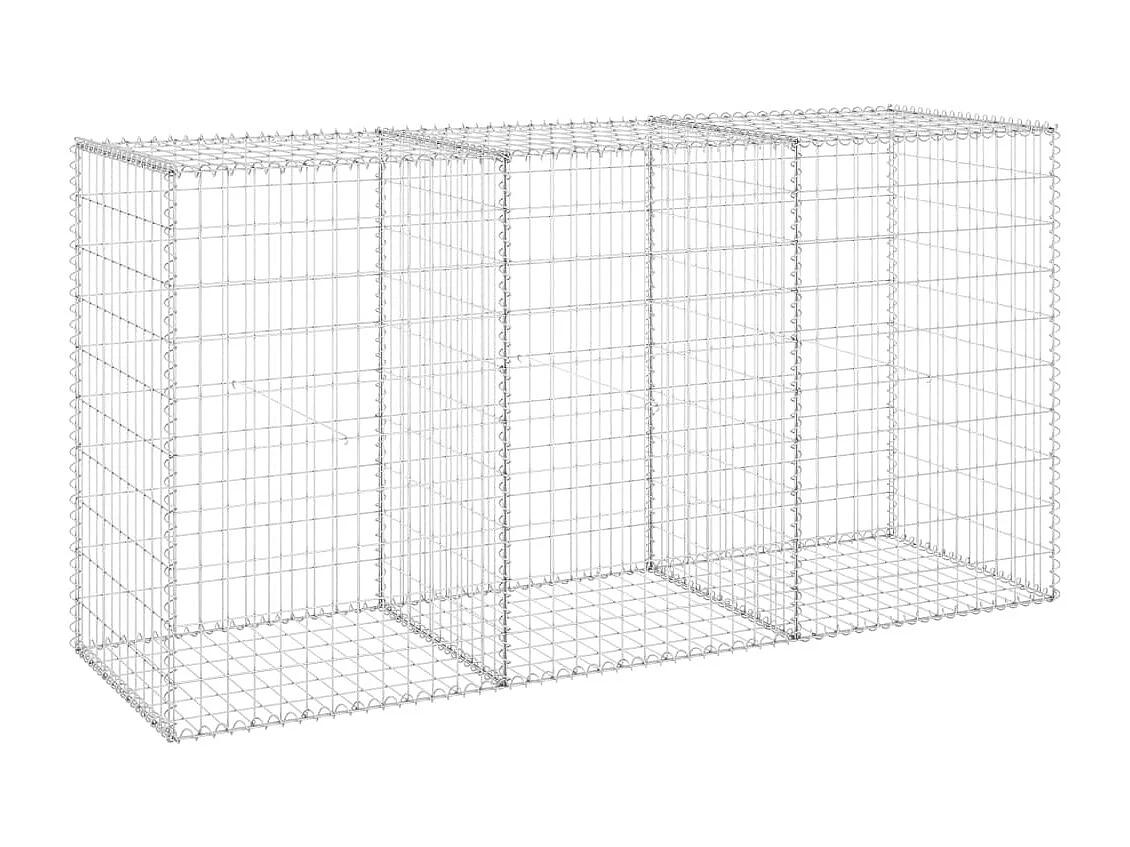 Mur en gabion avec couvercles Acier galvanisé 200x60x100