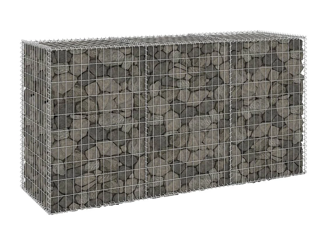 Mur en gabion avec couvercles Acier galvanisé 200x60x100