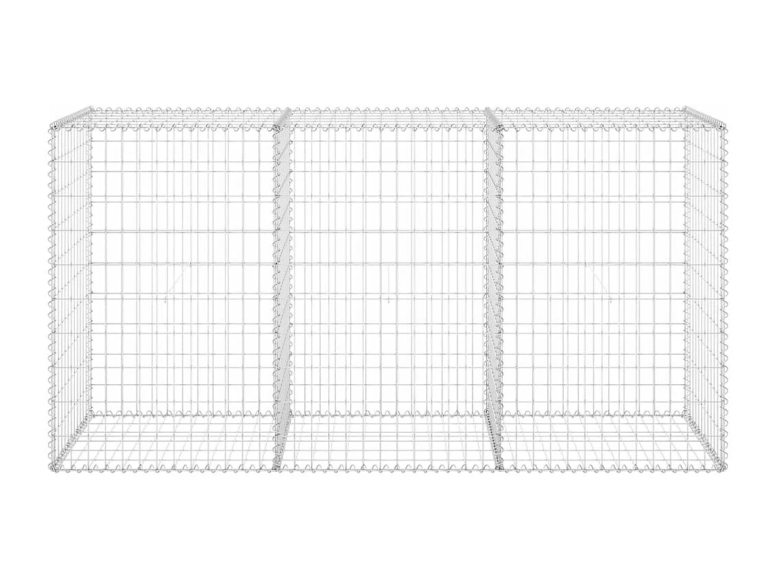 Mur en gabion avec couvercles Acier galvanisé 200x60x100