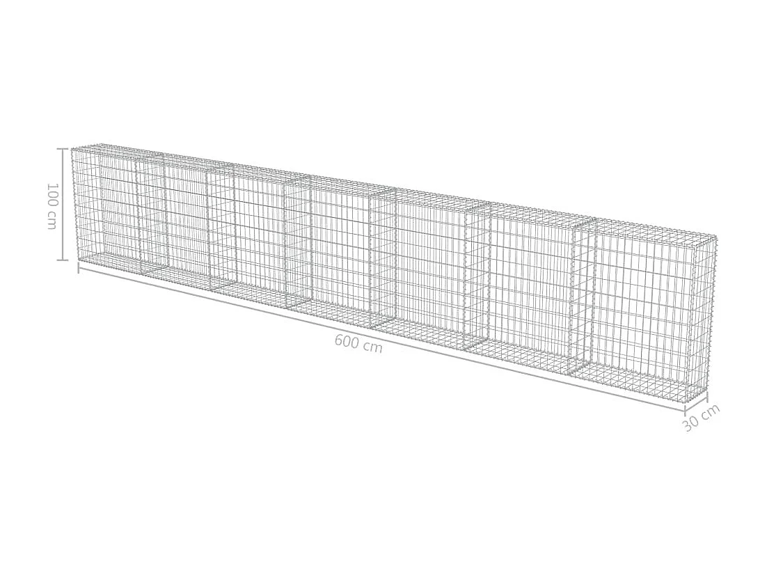 Mur à gabion avec couvercles Acier galvanisé 600 x 30x100