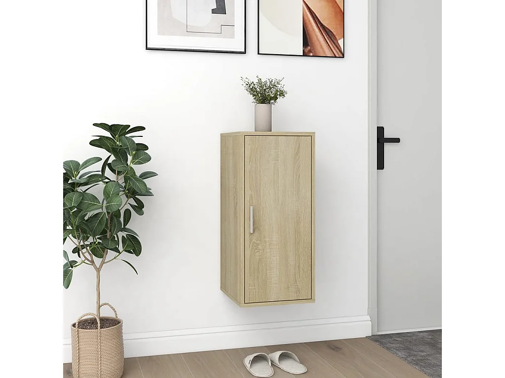 Armoire à chaussures Chêne sonoma 32x35x70