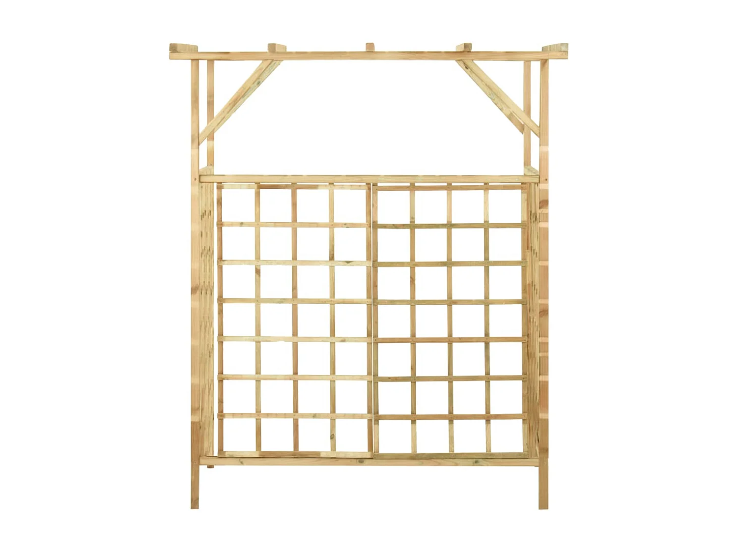 Pergola de jardin pour poubelles doubles Bois de pin imprégné