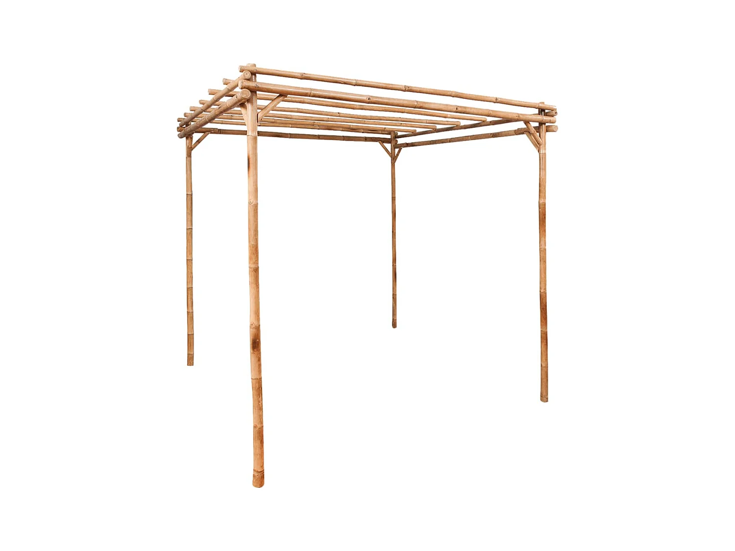 Pergola Bambou 170x170x220