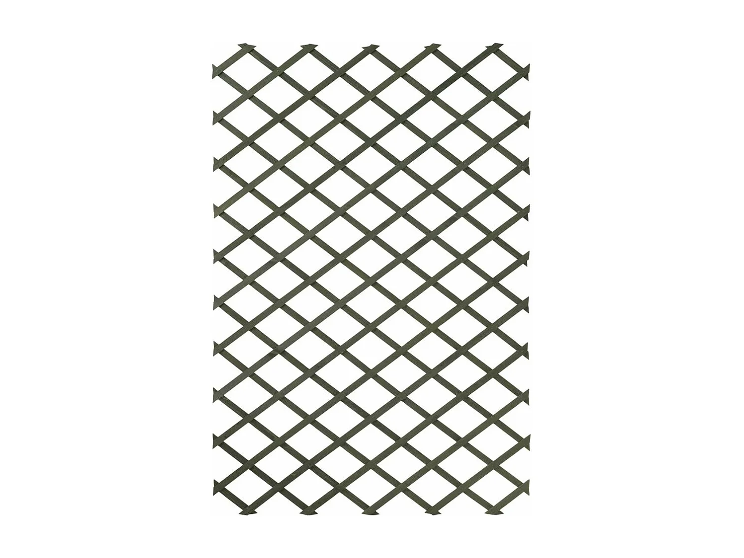 Nature Palissade de jardin 100x200 Bois Vert