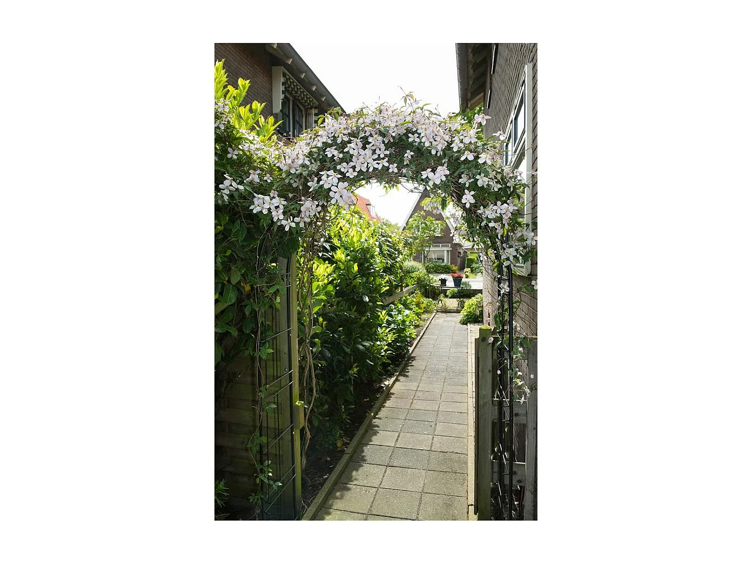 Arche de jardin en métal noir Nature Jardo