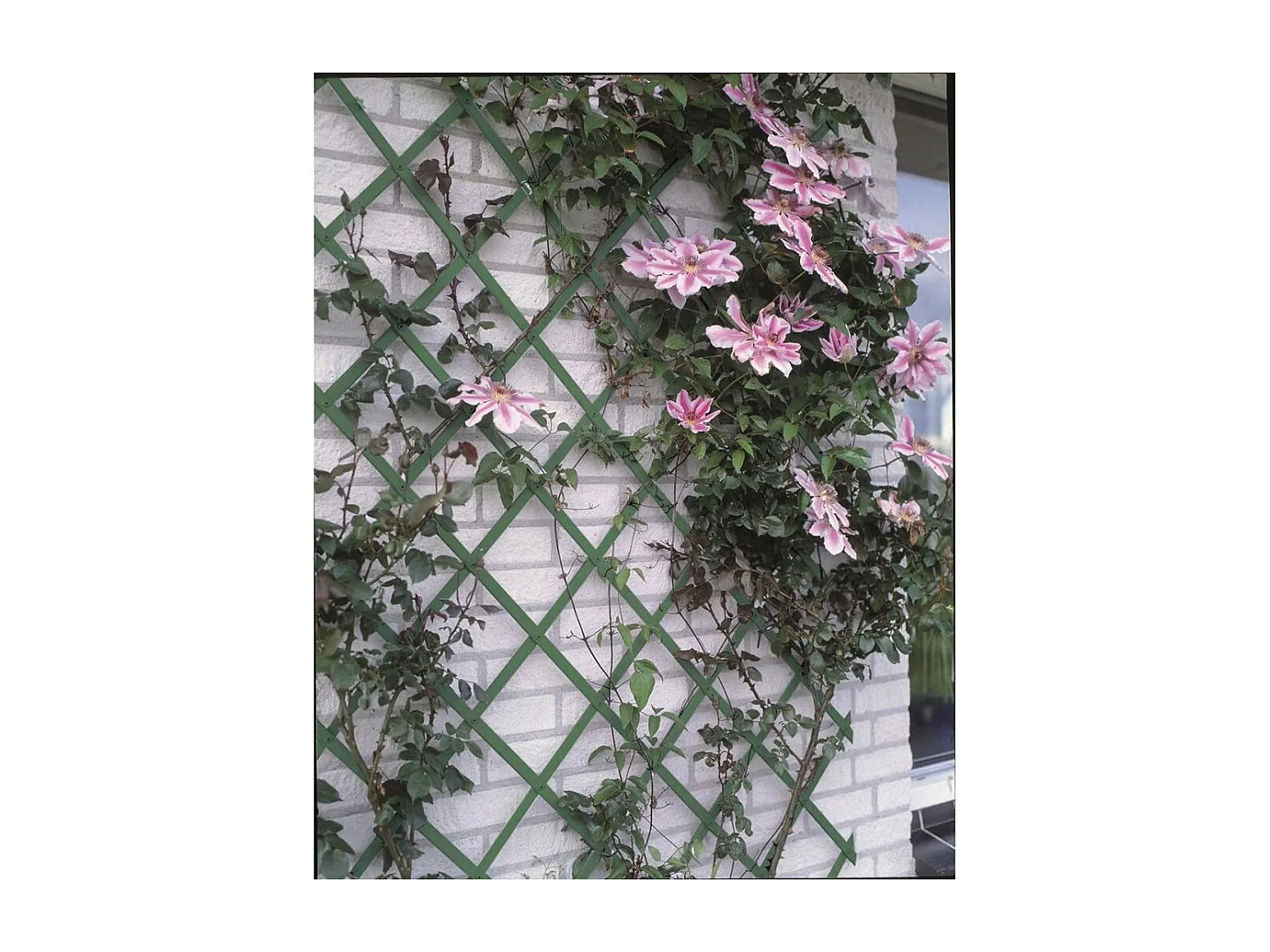 Enrejado de jardín PVC 100x200 cm verde 6040704