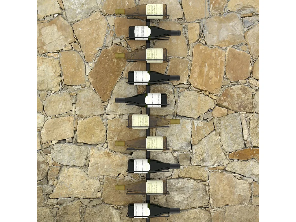 Casier à bouteilles mural pour 10 bouteilles Noir Métal