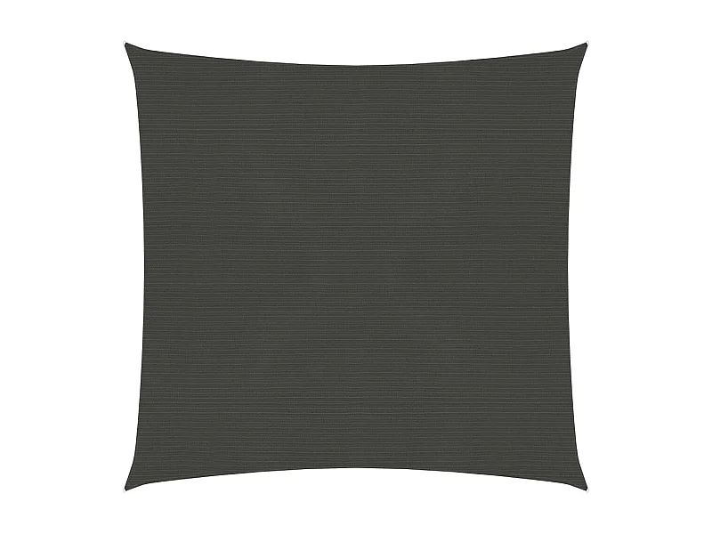 Voile d'ombrage 160 g-m² Anthracite 3x3 m PEHD