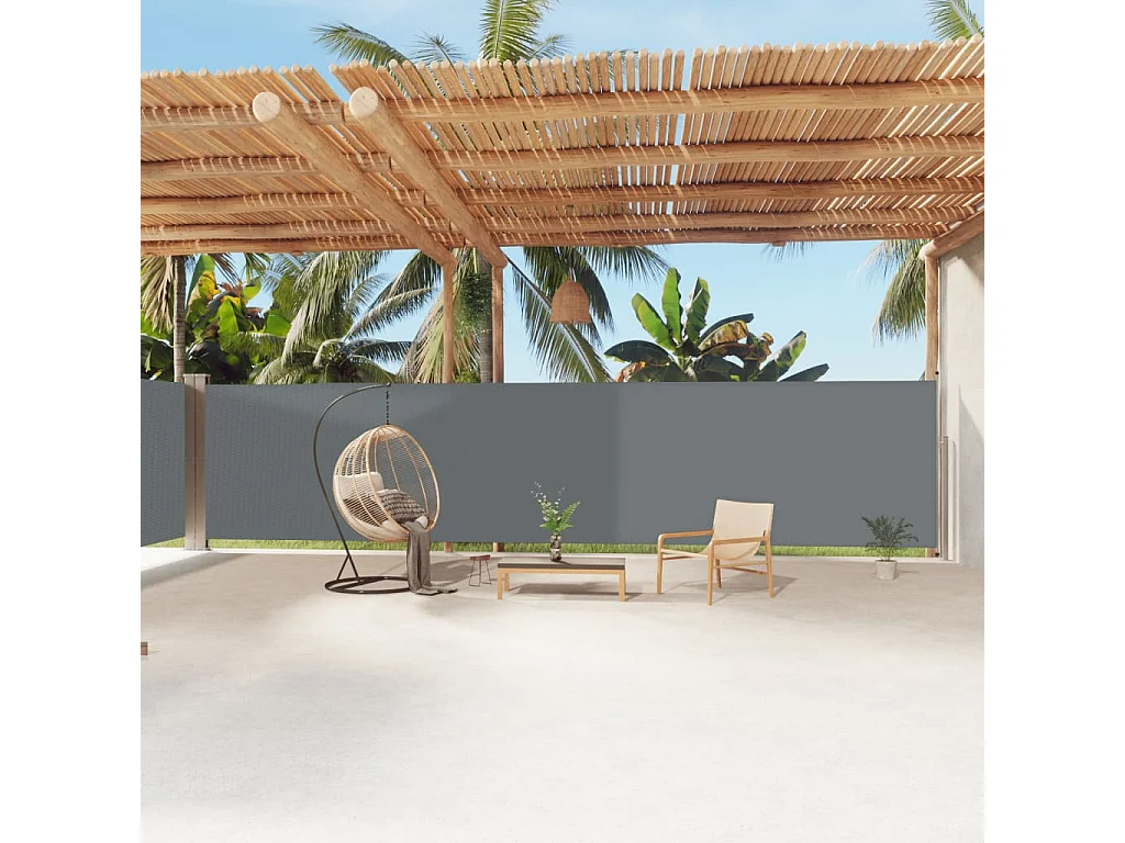 Auvent latéral rétractable Anthracite 180x1200